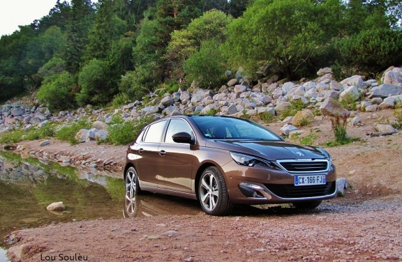 La 308 permettra-t-elle à Peugeot de sortir la tête de l'eau ? L'avenir nous le dira.