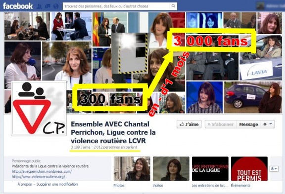 La page Facebook de la Ligue contre la violence routière semble avoir bénéficié d'un coup pouce... Un petit coup d'accélérateur sur le nombre de fans ? Vous voilà flashé !