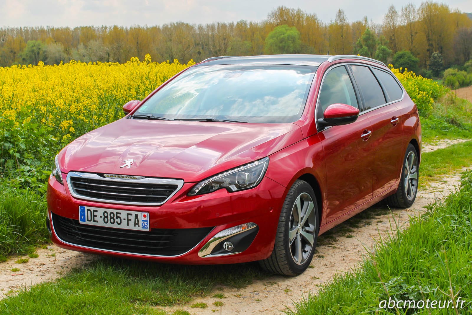 Peugeot 308 SW Access - Féline