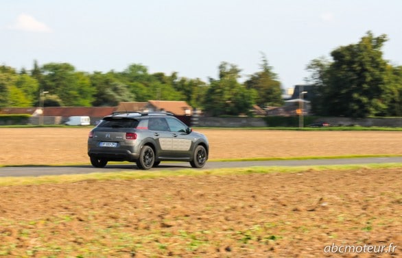 C4 Cactus essence 110