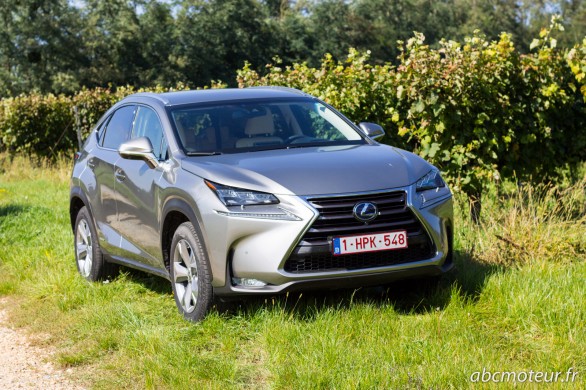 NX 300h
