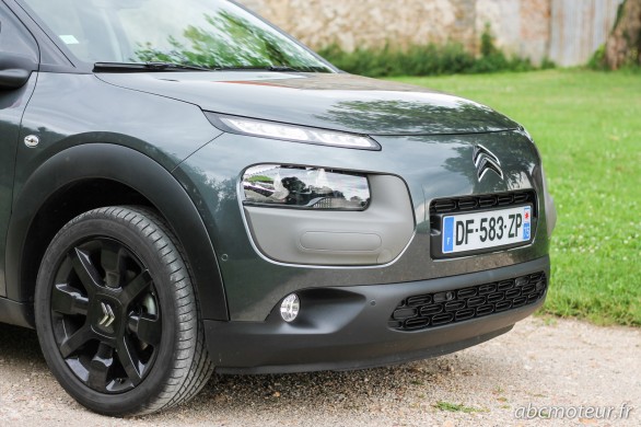 calandre C4 Cactus