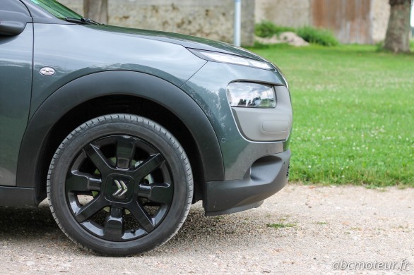 jante noire 17p C4 Cactus