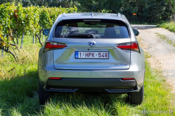 poupe Lexus NX 300h