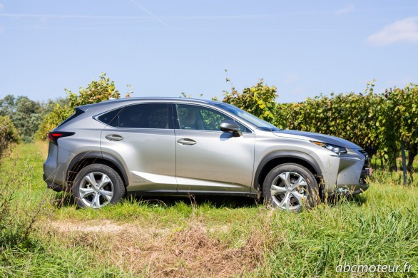 profil Lexus NX 300h