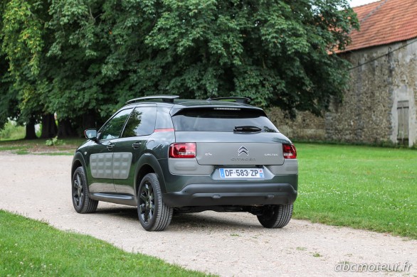 vue 3-4 ar C4 Cactus