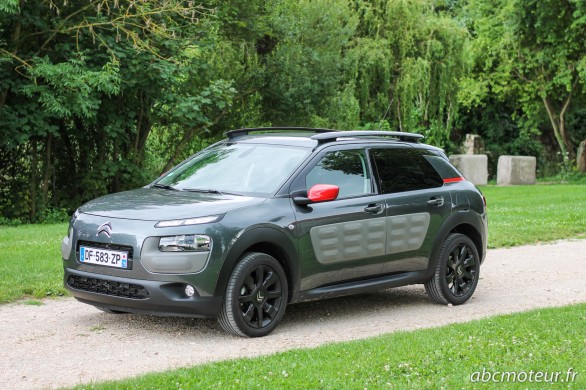 vue 3-4 av C4 Cactus