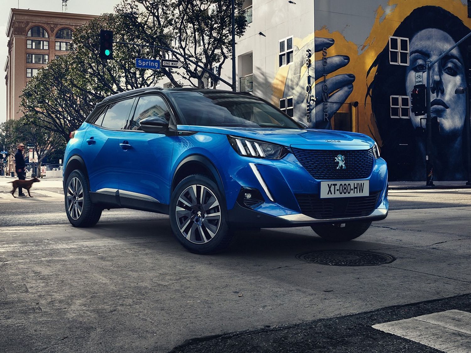 Peugeot 2008 - 2019 - e-2008