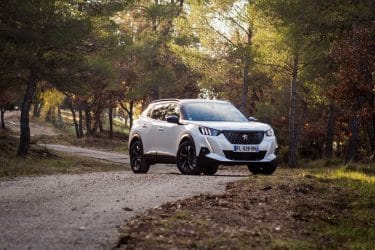 Peugeot 2008 blanc statique forêt