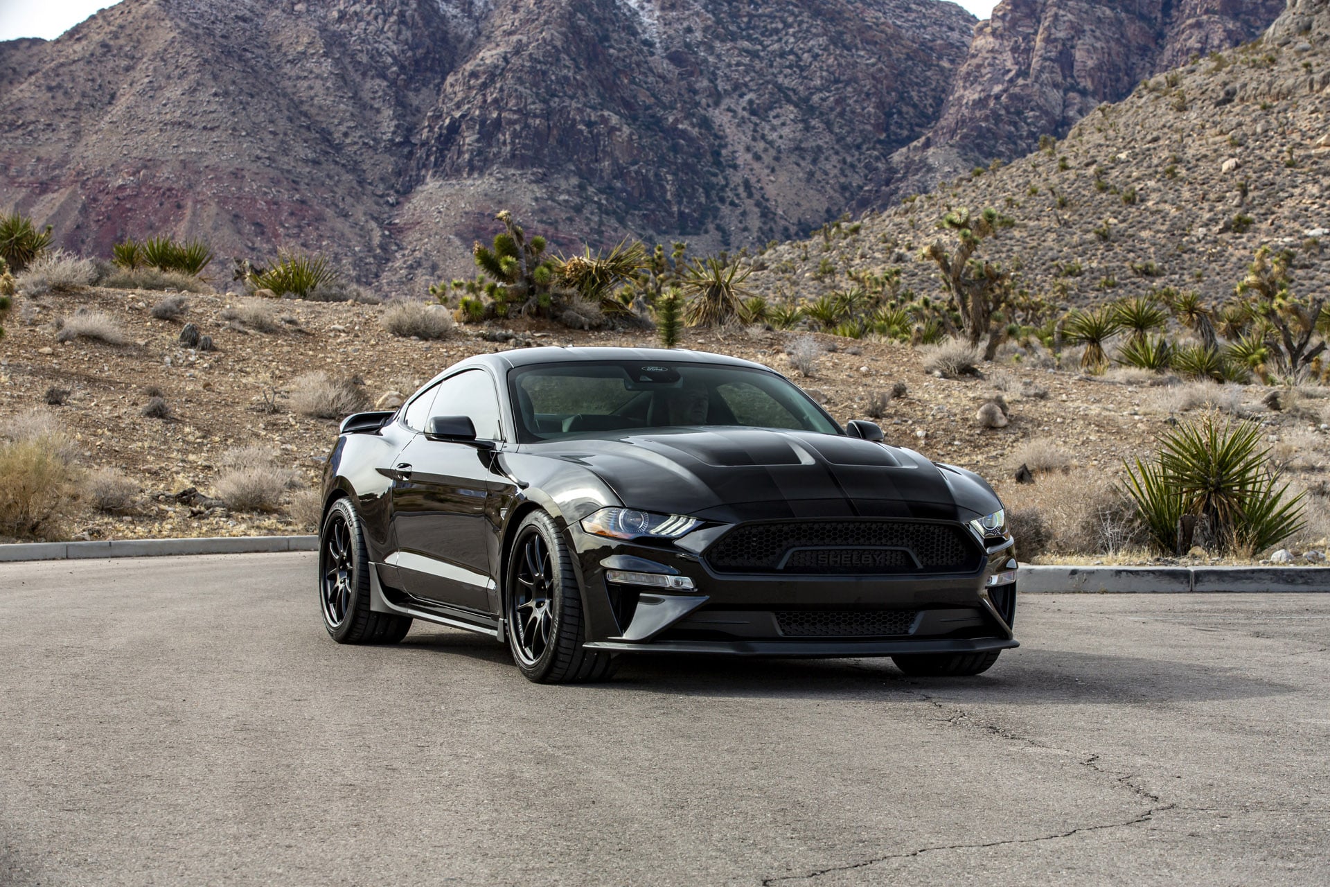 mustang shelby centennial