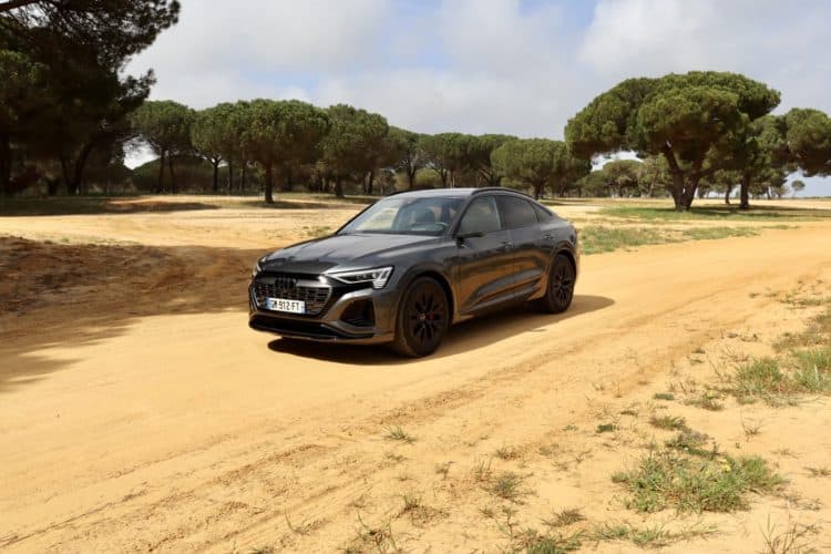 audi q8 sportback 55 e tron 0798
