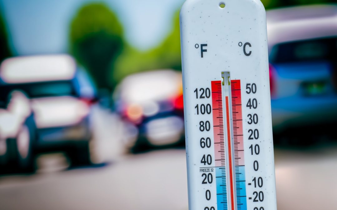Canicule et forte chaleur : comment protéger sa voiture du coup de chaud ?