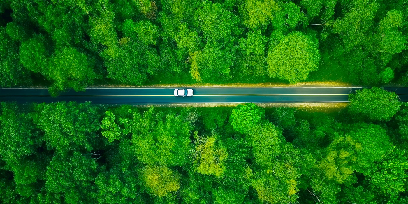 Une voiture en train de rouler à travers une forêt