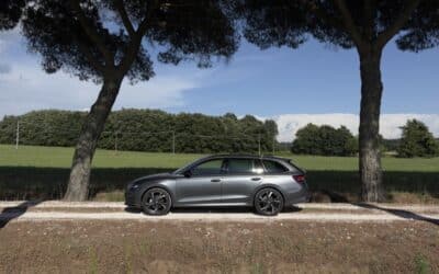Essai Skoda Octavia Combi (2026) : tout ce qu’il y’a de plus rationnel